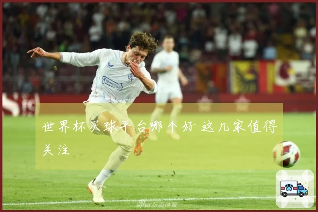 世界杯买球平台哪个好 这几家值得关注