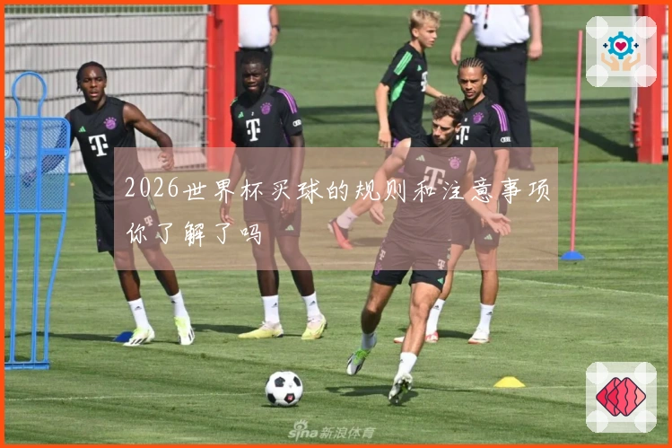 2026世界杯买球的规则和注意事项你了解了吗