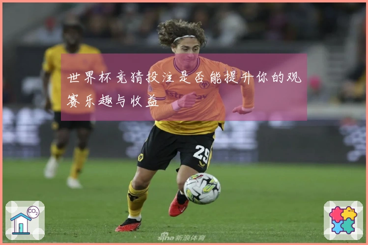 世界杯竞猜投注是否能提升你的观赛乐趣与收益