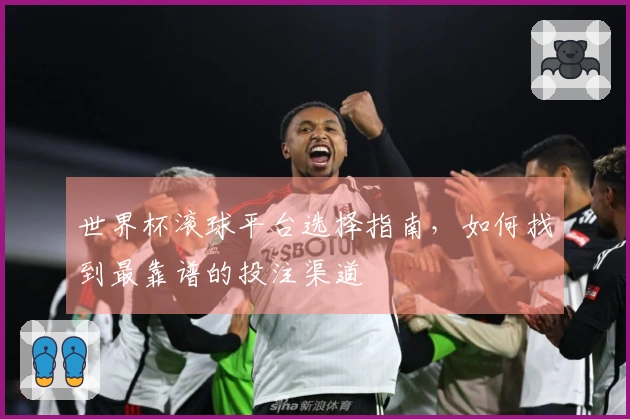 世界杯滚球平台选择指南，如何找到最靠谱的投注渠道