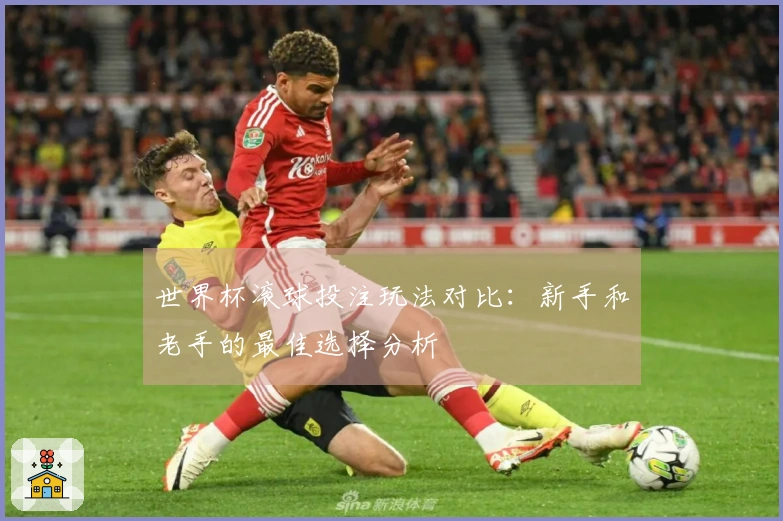世界杯滚球投注玩法对比：新手和老手的最佳选择分析