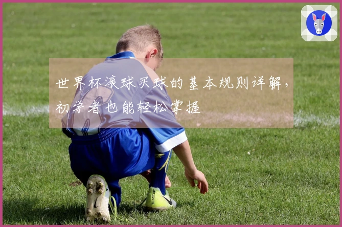 世界杯滚球买球的基本规则详解,初学者也能轻松掌握