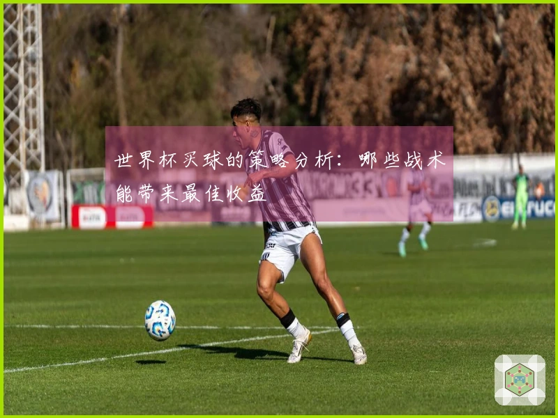 世界杯买球的策略分析：哪些战术能带来最佳收益