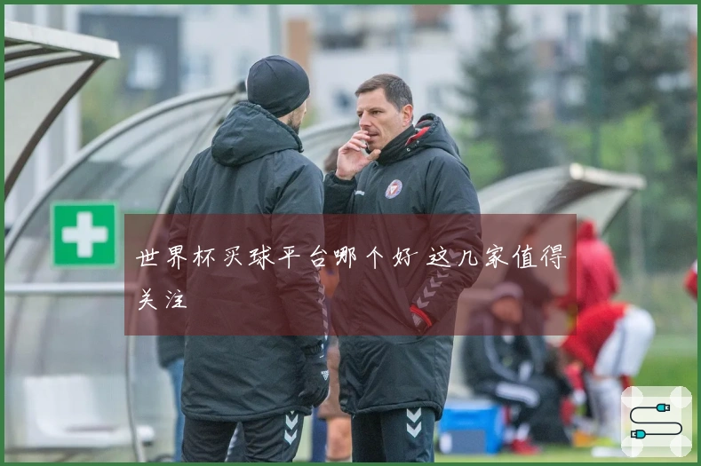 世界杯买球平台哪个好 这几家值得关注