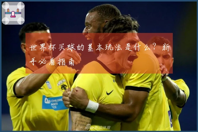 世界杯买球的基本玩法是什么？新手必看指南