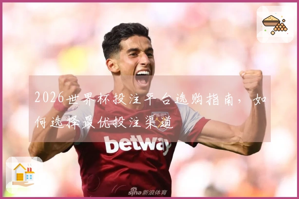 2026世界杯投注平台选购指南，如何选择最优投注渠道