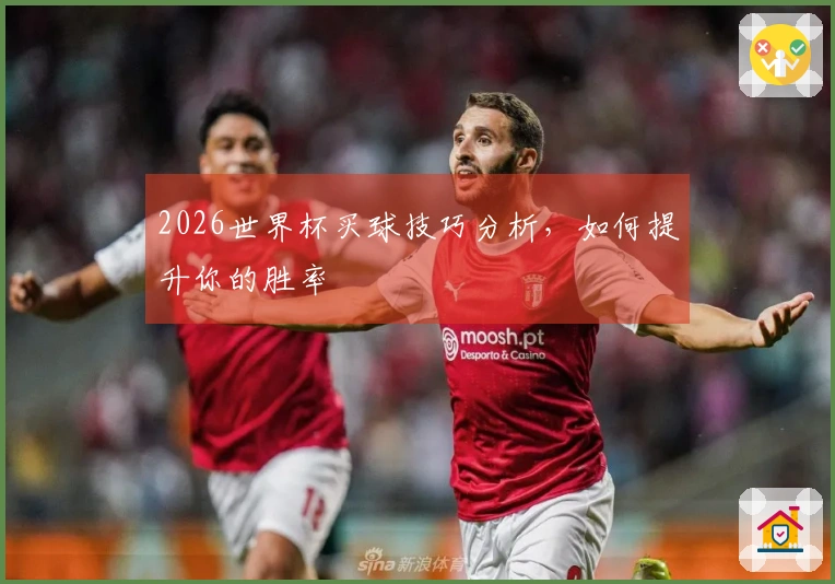 2026世界杯买球技巧分析，如何提升你的胜率