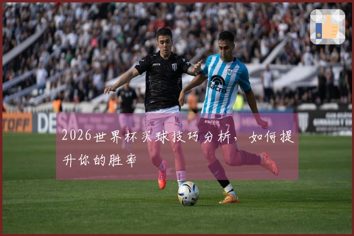 2026世界杯买球技巧分析，如何提升你的胜率