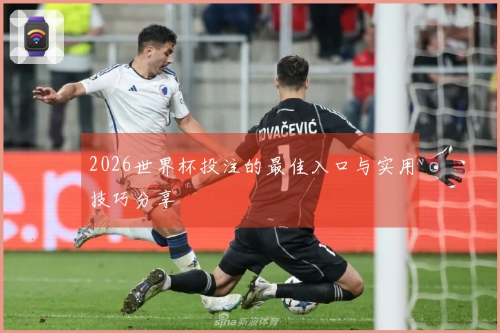 2026世界杯投注的最佳入口与实用技巧分享
