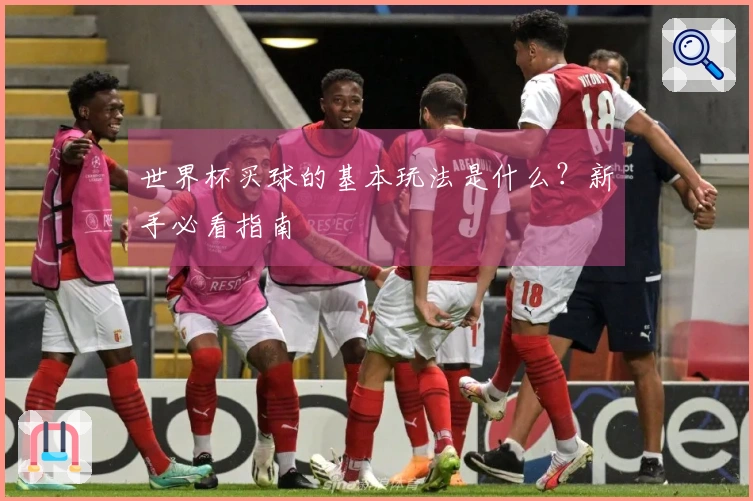 世界杯买球的基本玩法是什么？新手必看指南