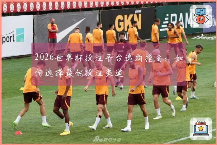 2026世界杯投注平台选购指南，如何选择最优投注渠道