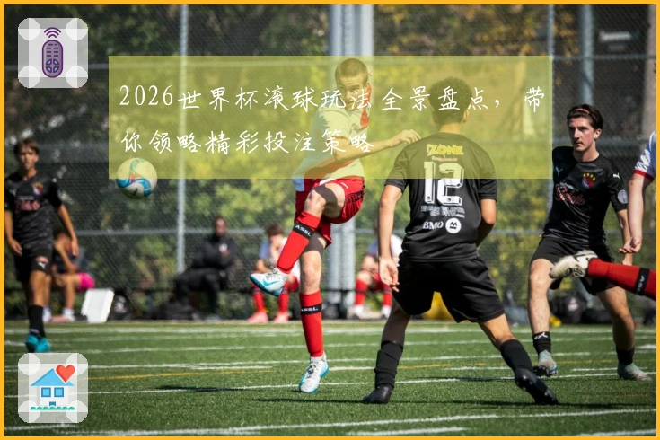 2026世界杯滚球玩法全景盘点，带你领略精彩投注策略