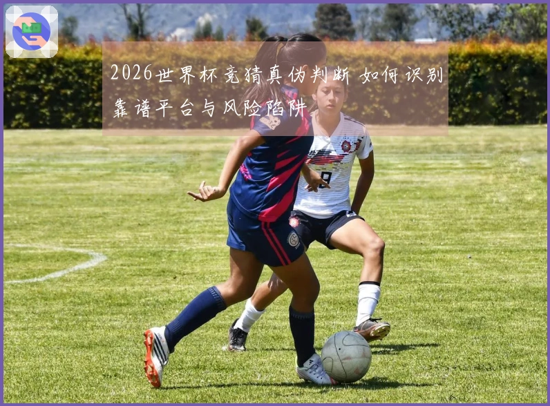 2026世界杯竞猜真伪判断 如何识别靠谱平台与风险陷阱