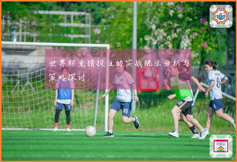 世界杯竞猜投注的实战玩法分析与策略探讨
