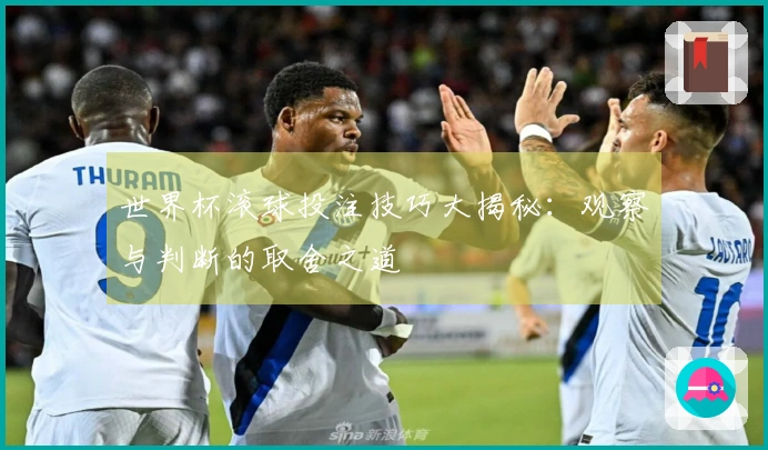 世界杯滚球投注技巧大揭秘：观察与判断的取舍之道